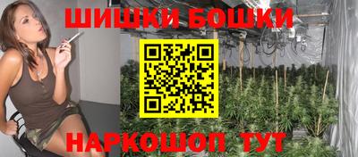 PSILOCYBIN Новозыбков